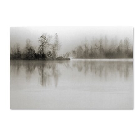 Trademark Fine Art Henrik Spranz 'Dissolution' Canvas Art, 30x47 1X01921-C3047GG